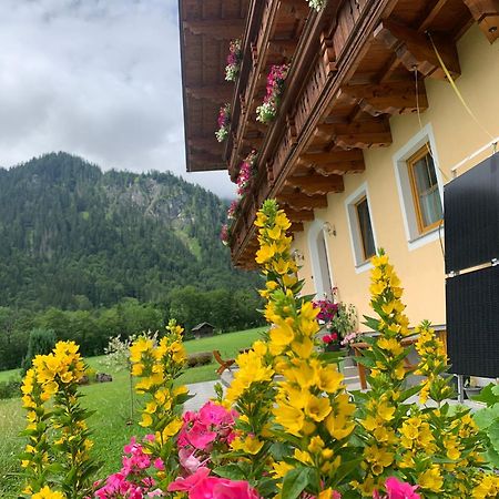 Alpen Appartements Oberlehengut Верфенвенг Экстерьер фото