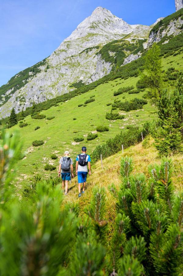 Alpen Appartements Oberlehengut Верфенвенг Экстерьер фото