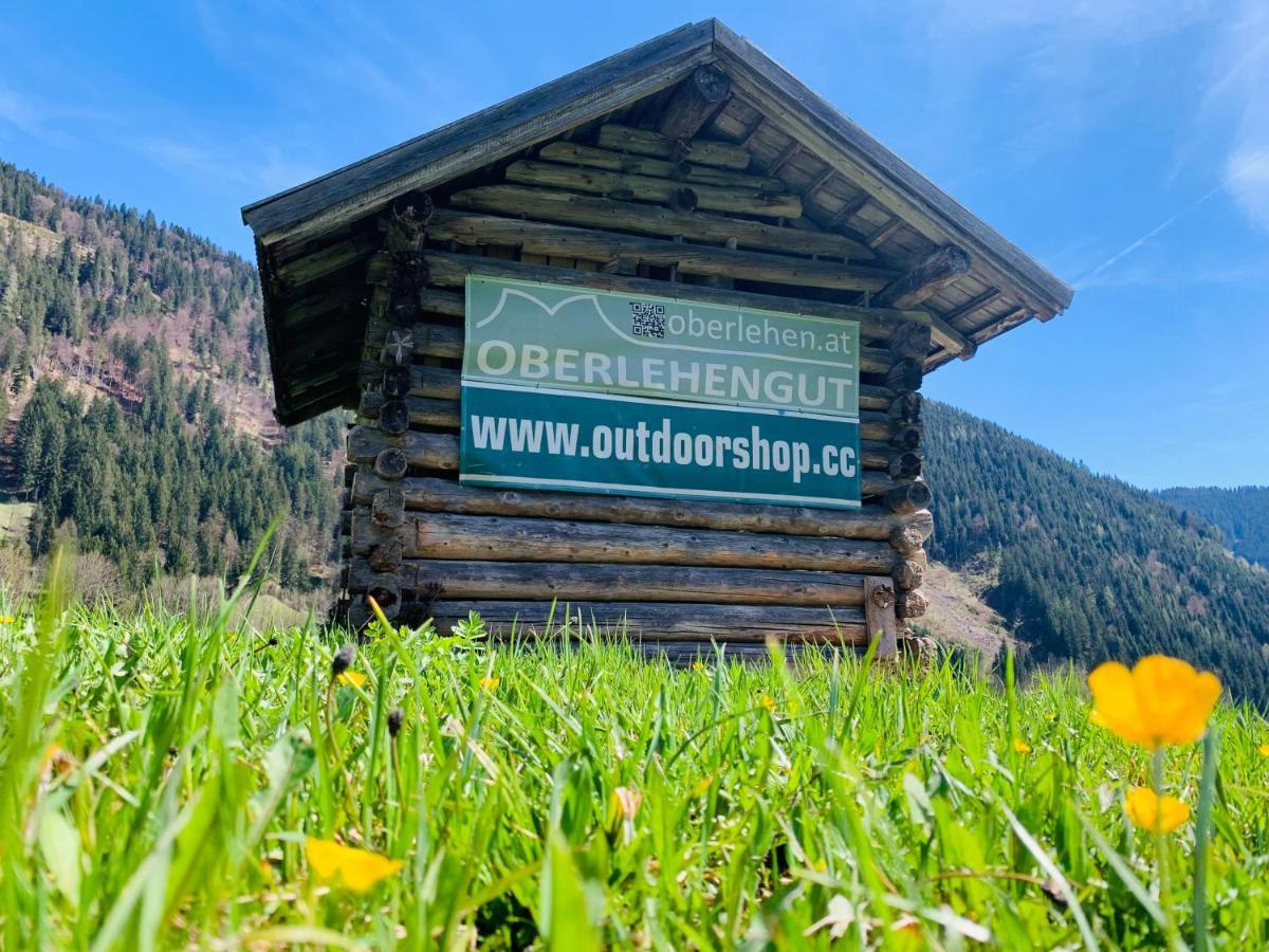 Alpen Appartements Oberlehengut Верфенвенг Экстерьер фото