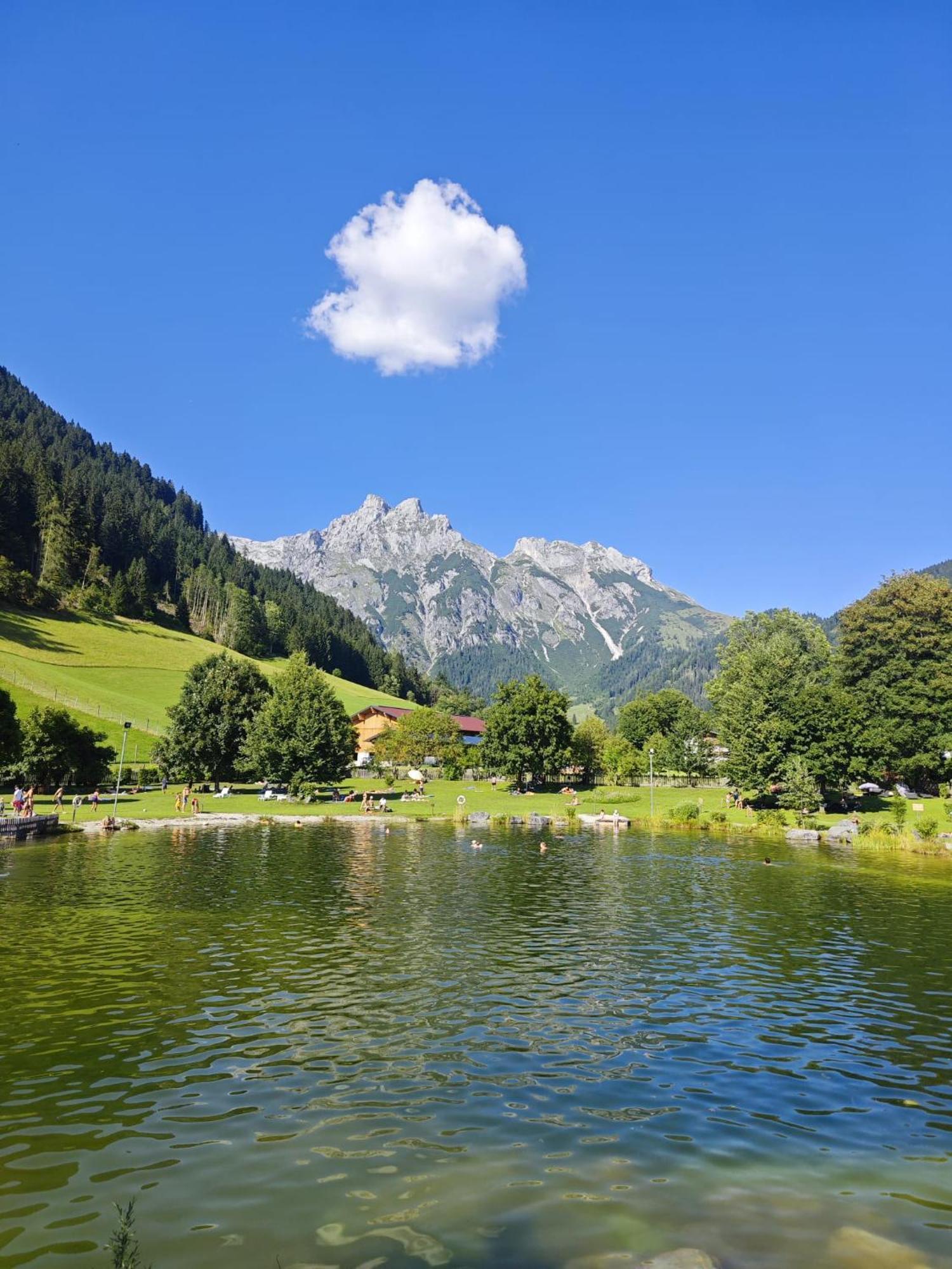 Alpen Appartements Oberlehengut Верфенвенг Экстерьер фото