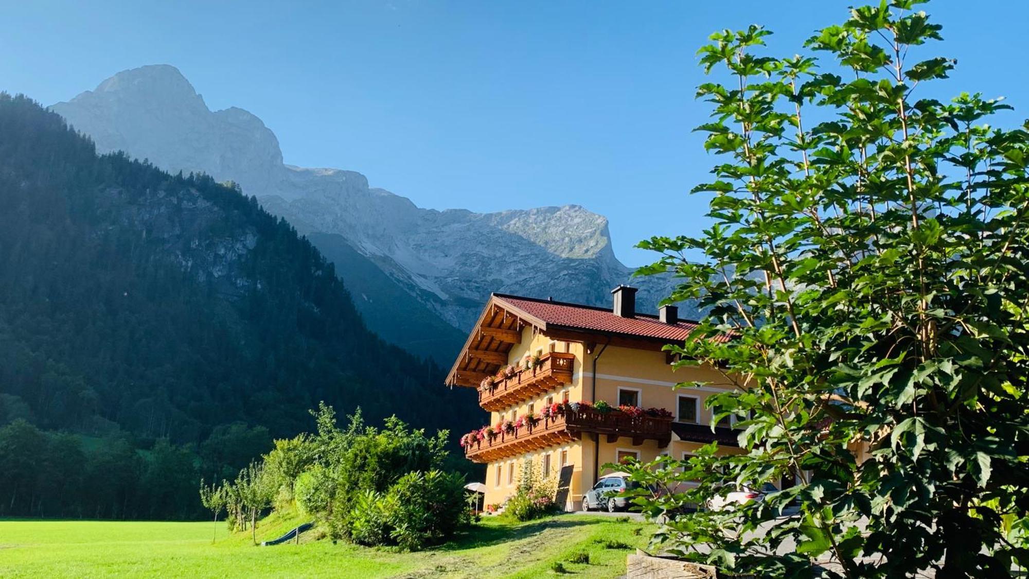 Alpen Appartements Oberlehengut Верфенвенг Экстерьер фото