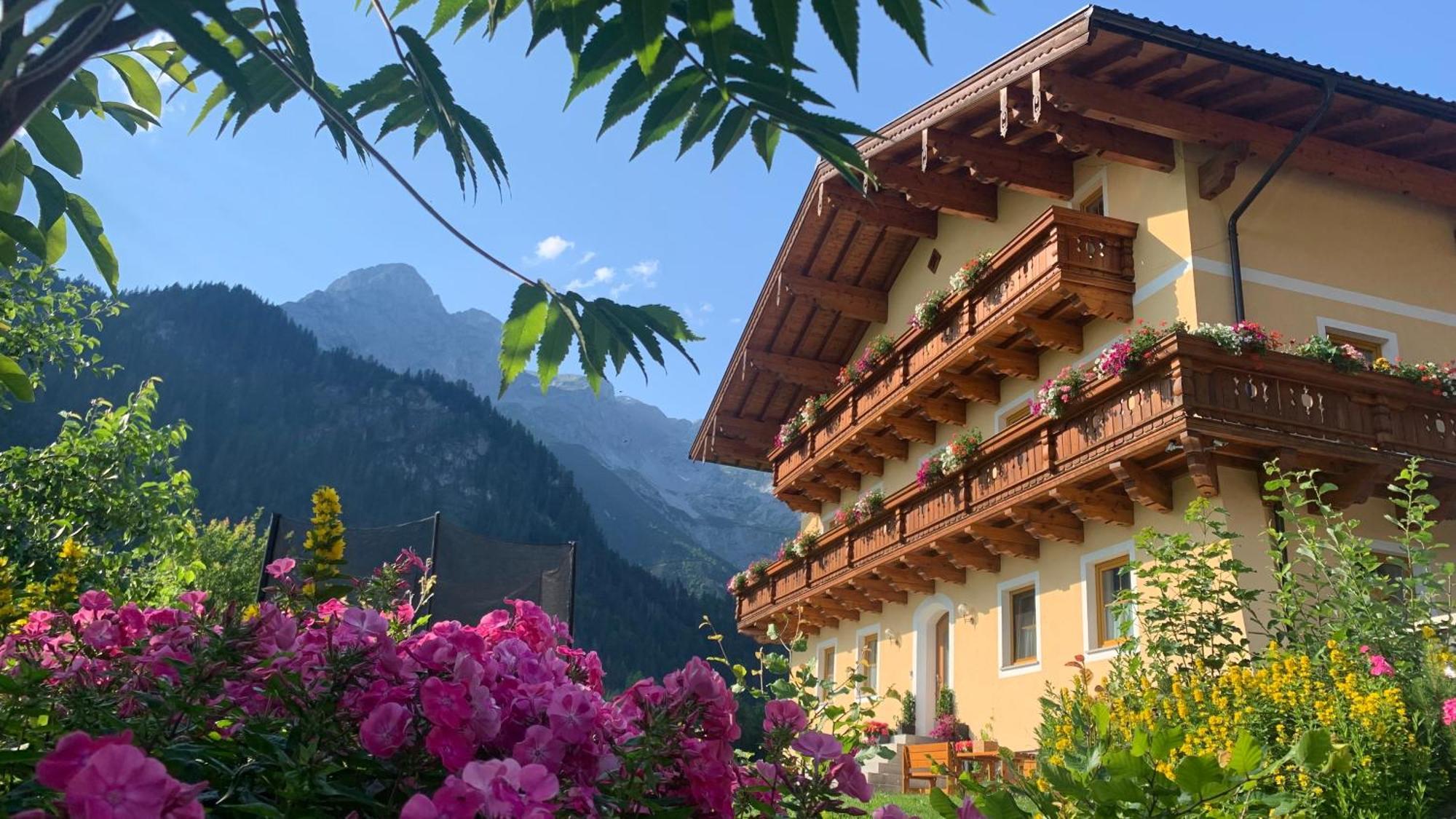 Alpen Appartements Oberlehengut Верфенвенг Экстерьер фото