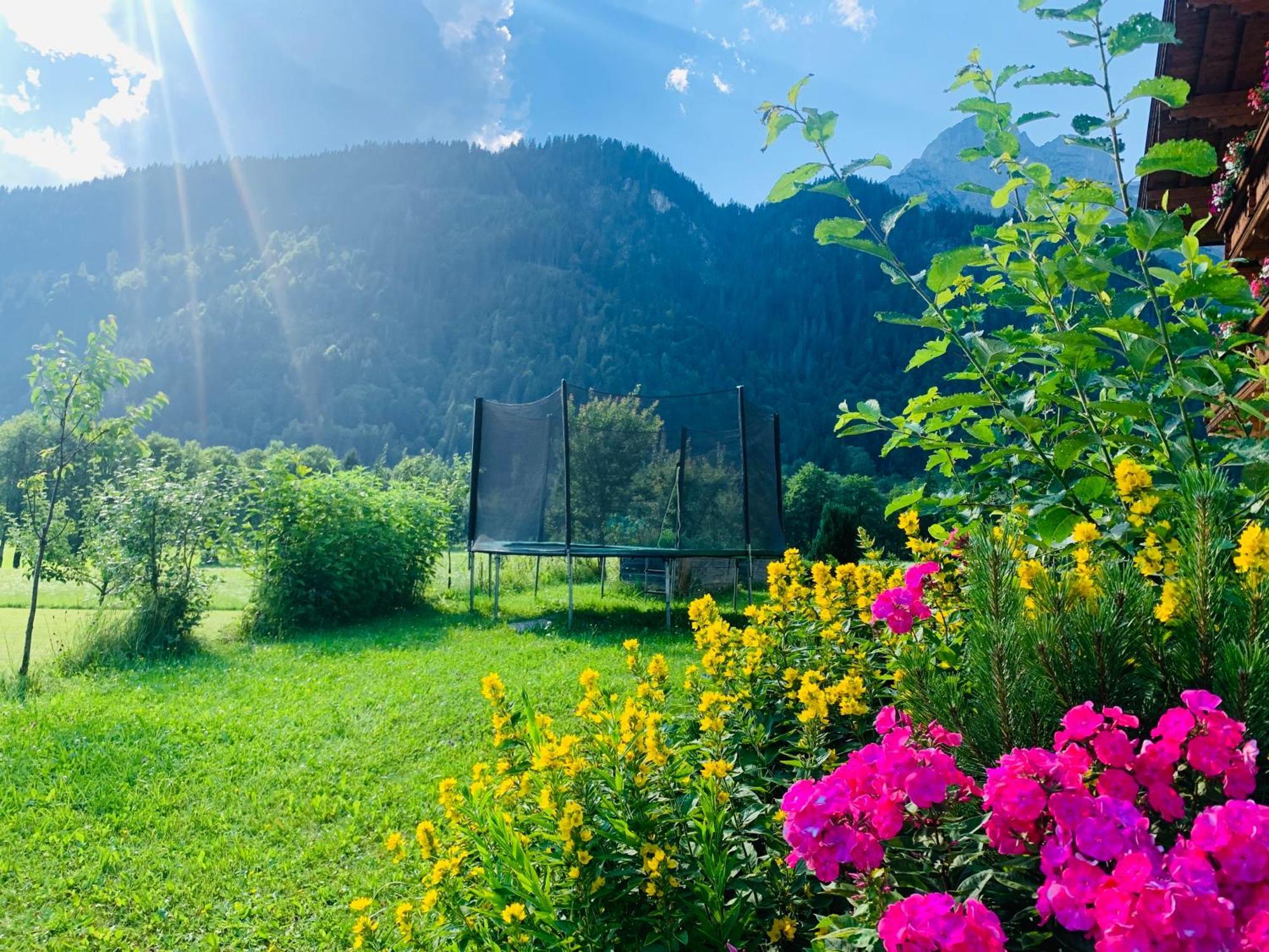 Alpen Appartements Oberlehengut Верфенвенг Экстерьер фото