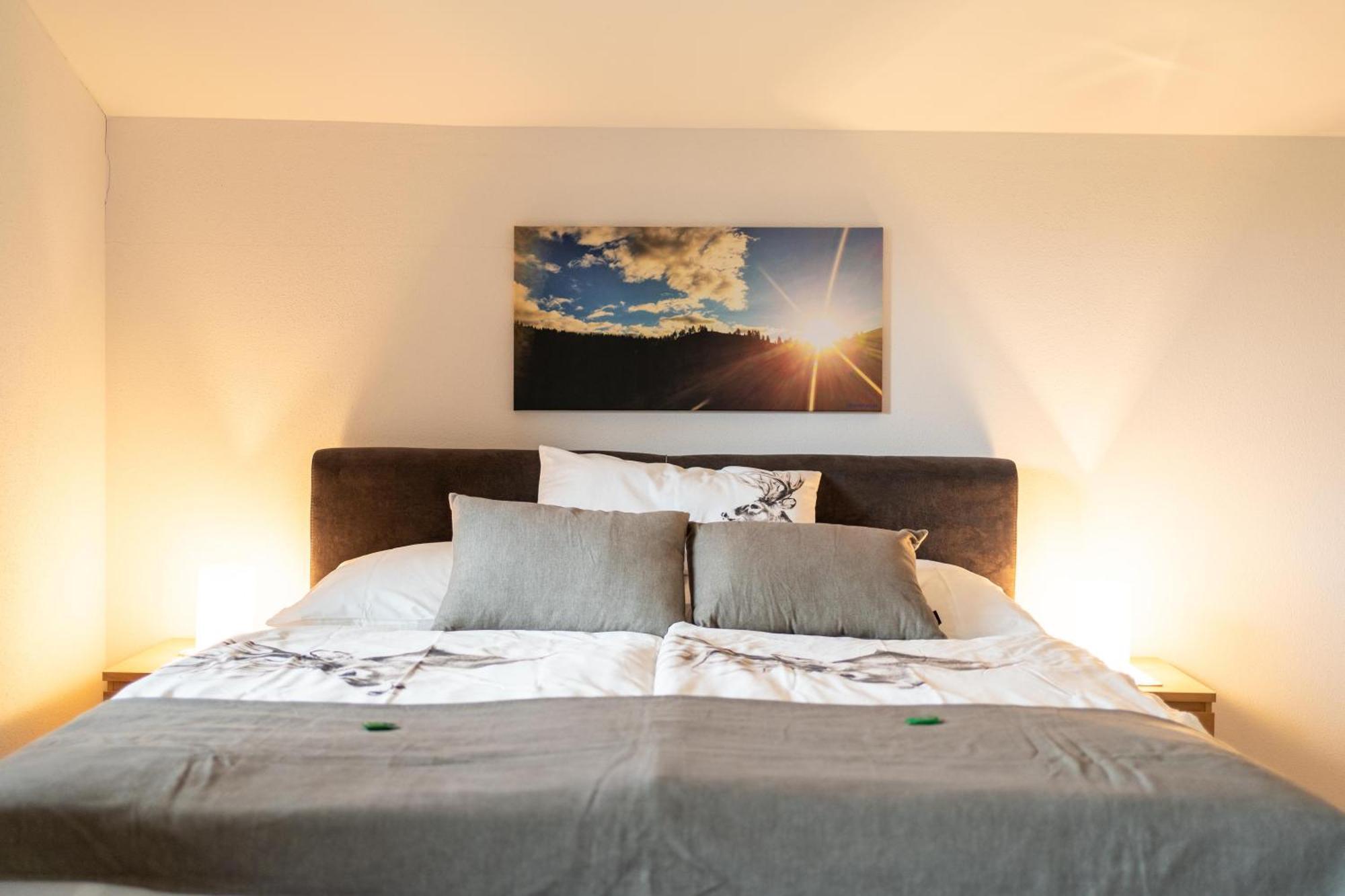Alpen Appartements Oberlehengut Верфенвенг Экстерьер фото
