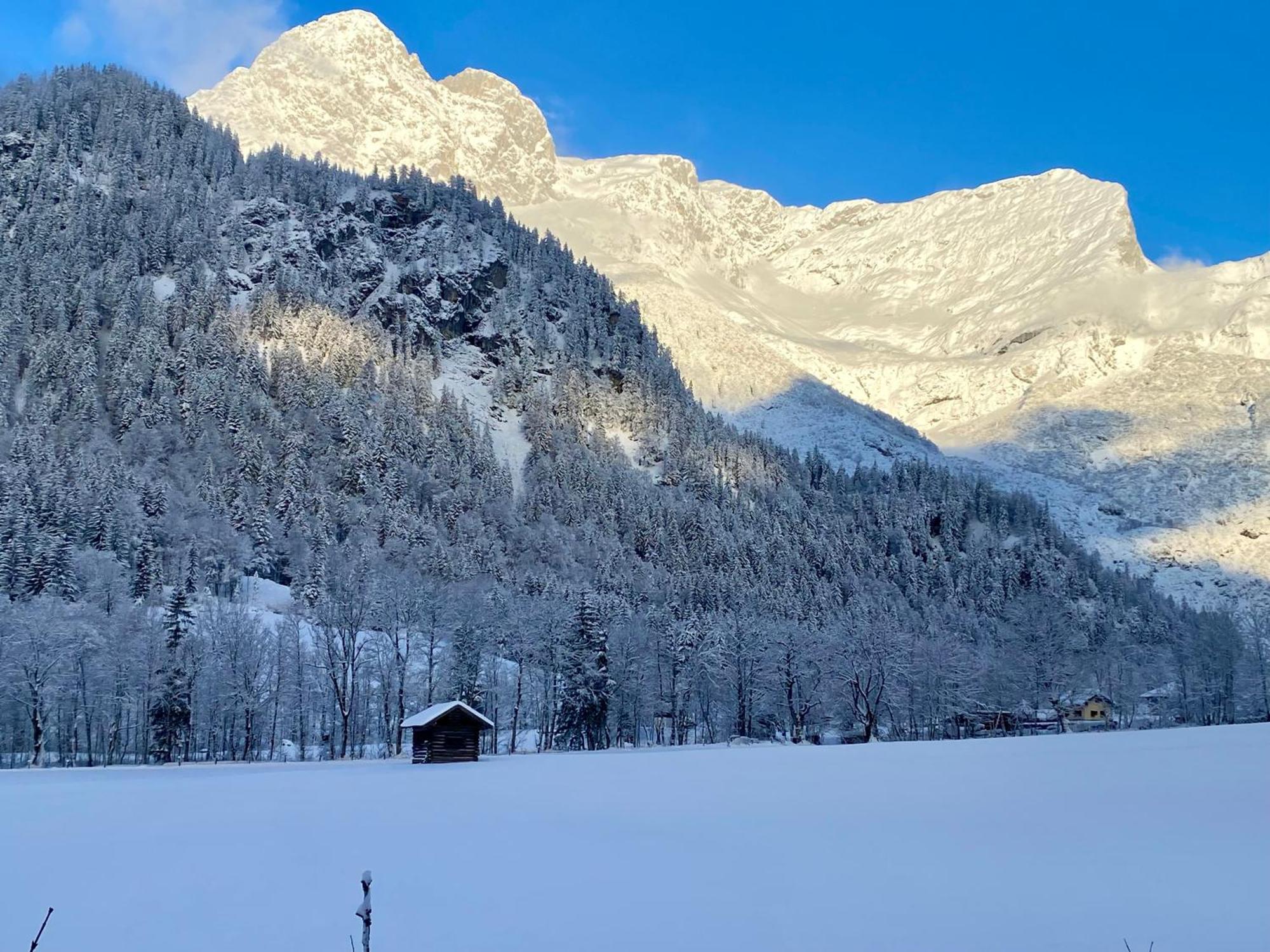 Alpen Appartements Oberlehengut Верфенвенг Экстерьер фото