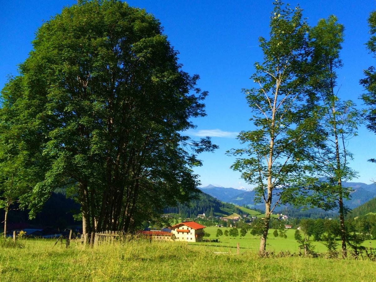 Alpen Appartements Oberlehengut Верфенвенг Экстерьер фото